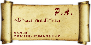 Pécsi Antónia névjegykártya
