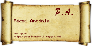 Pécsi Antónia névjegykártya
